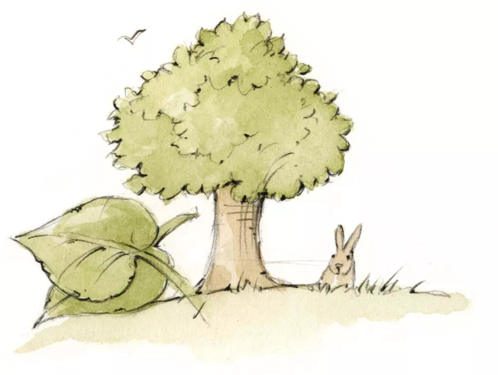 Erholung in der Weite der Natur Im Grünen die Seele baumeln lassen