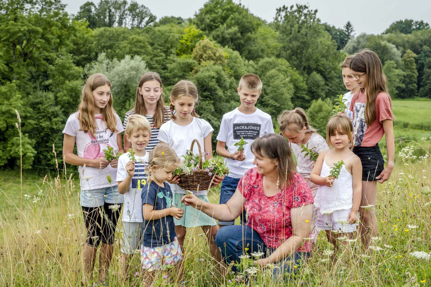 Kräuter und Wildblumen kennen lernen Naturnahes Arbeit in der Landwirtschaft
